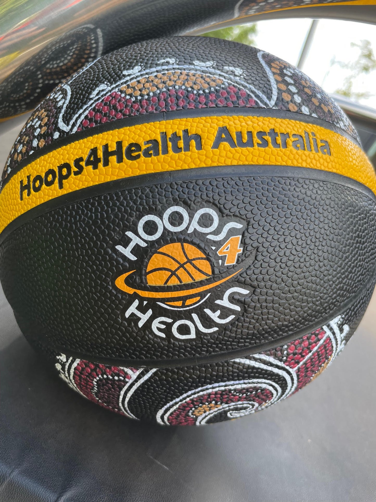 Hoops 4 Health Basketballs